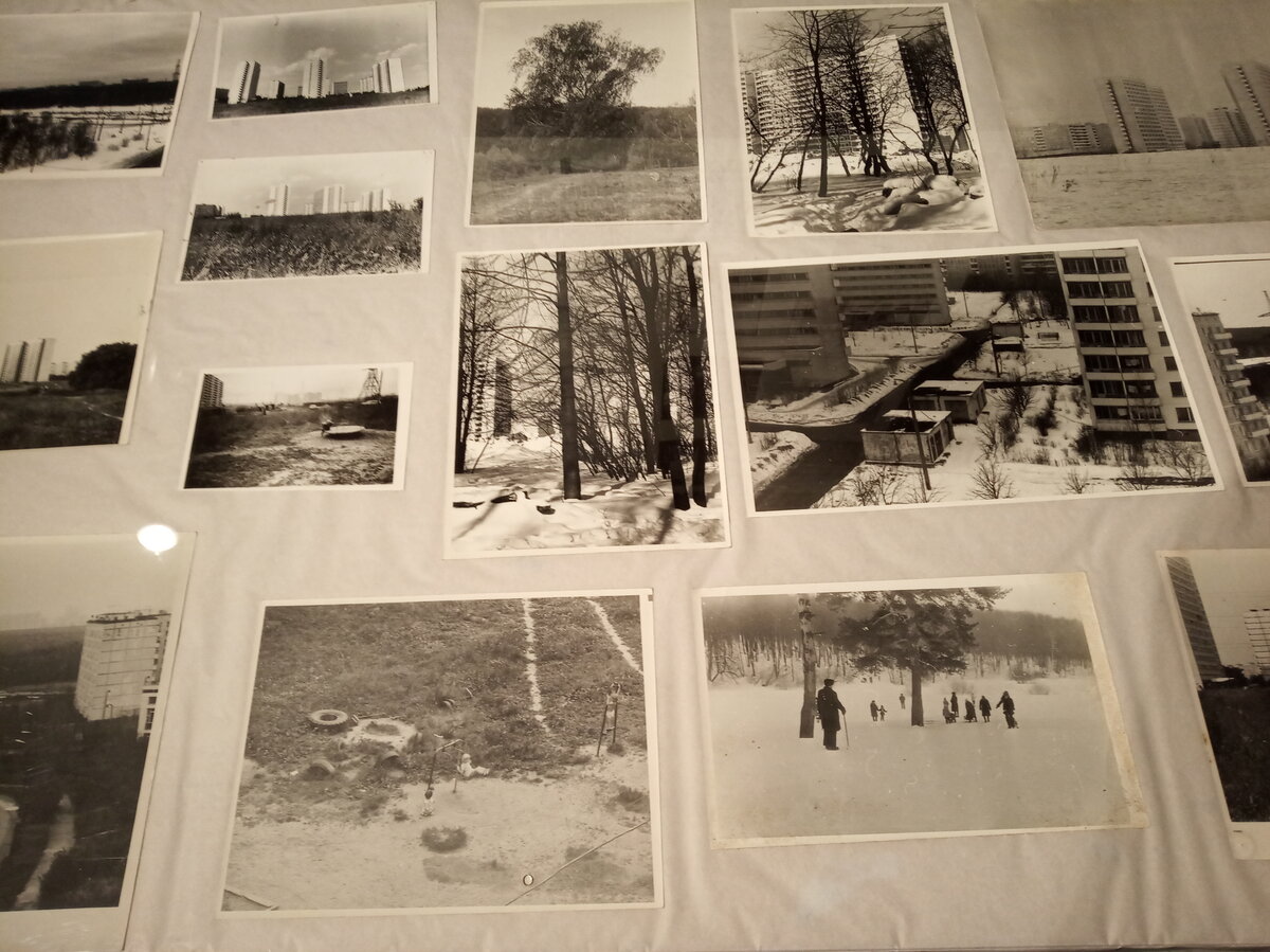 Архивные фотографии на выставке «Лица ландшафта» в галерее «Беляево»