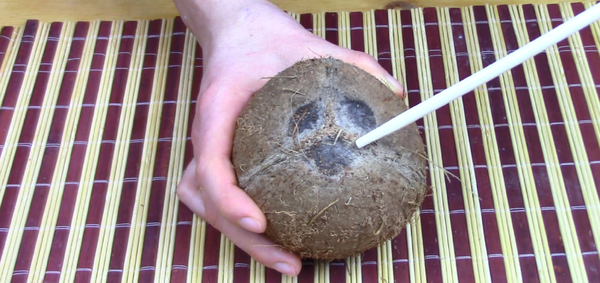 Как легко открыть кокос дома. И как выбрать хороший кокос.