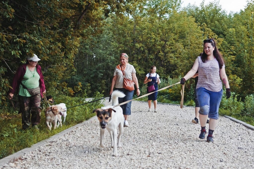 Фото: фонд помощи бездомным животным «Рэй