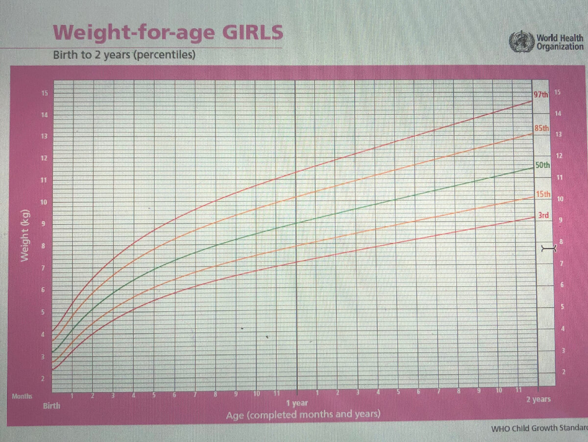 раст и вес по месяцам фото 61