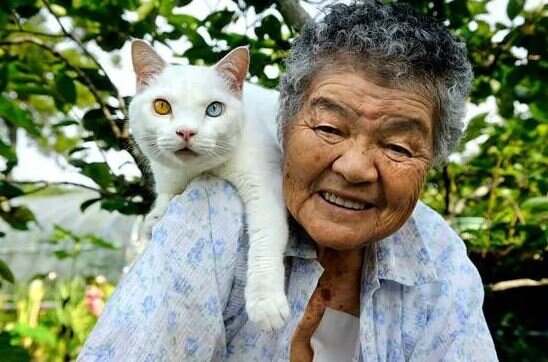 Источник: whitemanekicat.p1.bindsite.j