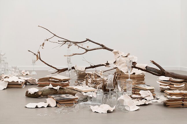 «Прогуливаясь по своему саду №4» (Екатерина Паниканова, 2019) Бумага, чернила, книги, акрил, керамика прибл. 19 x 48 x 30 см