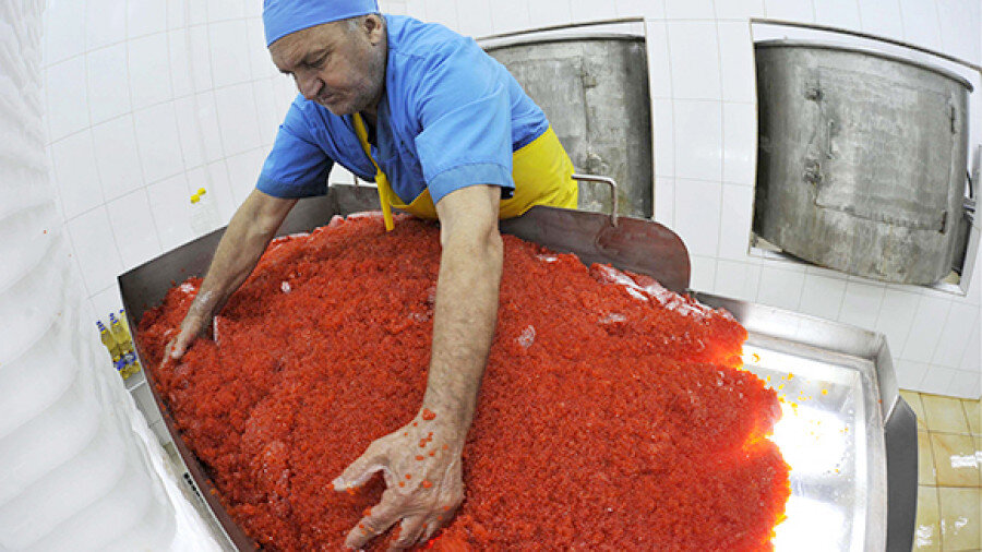 Сколько получают рабочие на Камчатке на красной икре, и в каких условиях они живут на рыбзаводах