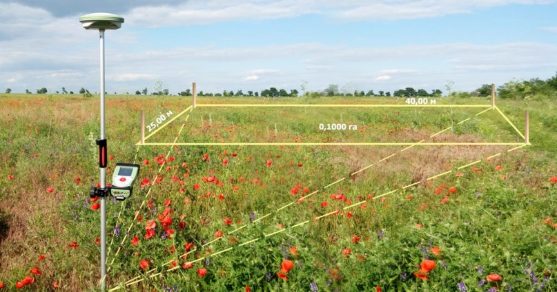 Фото взято из интернета 