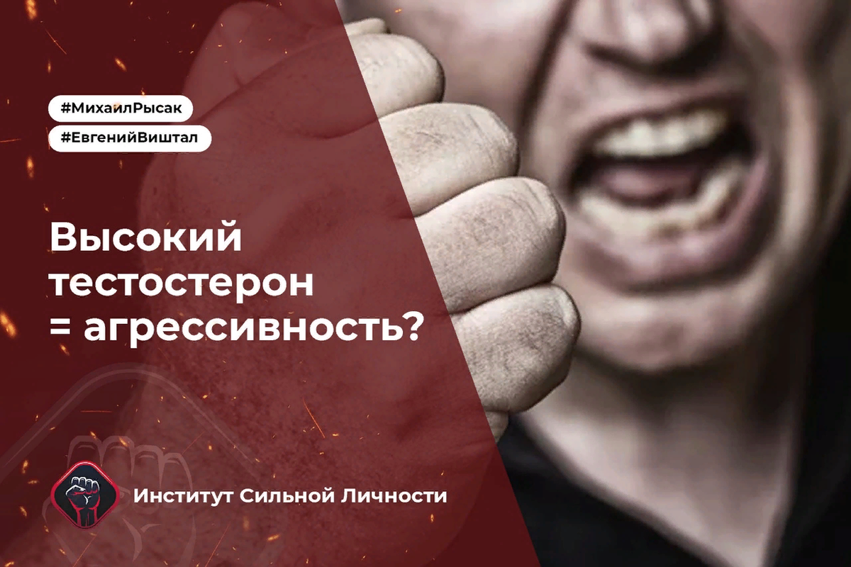 Высокий тестостерон = агрессивность? | Институт Сильной Личности | Дзен