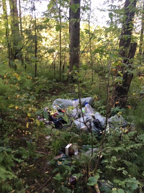 Ну разве это не печально?