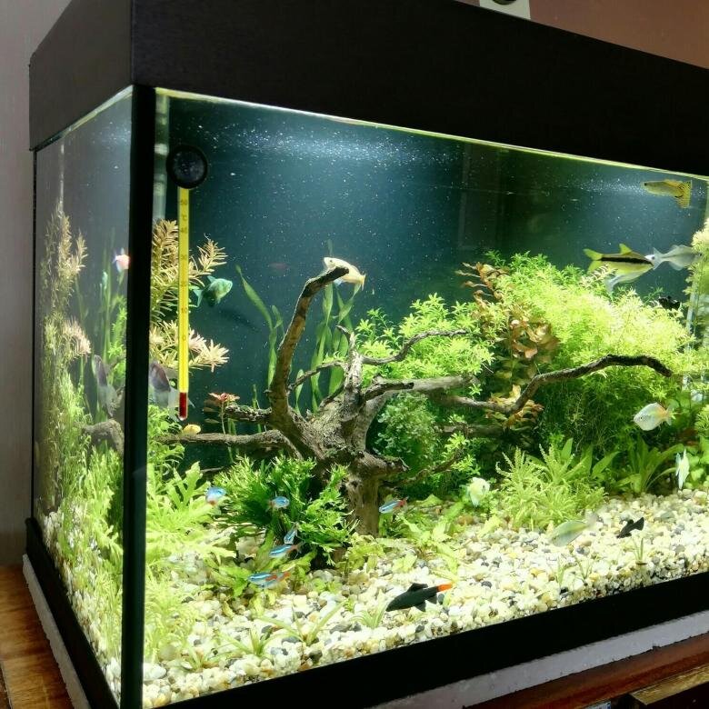 Фото из интернета