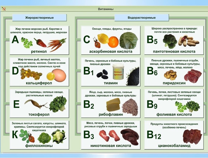 Список витаминов и продуктов в которых они содержатся.