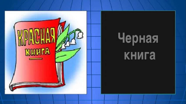 Красная и черная книга презентация