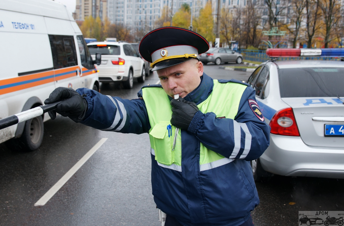 Кто должен оплачивать штраф за непристегнутого пассажира в авто |  Автомотодром | Дзен