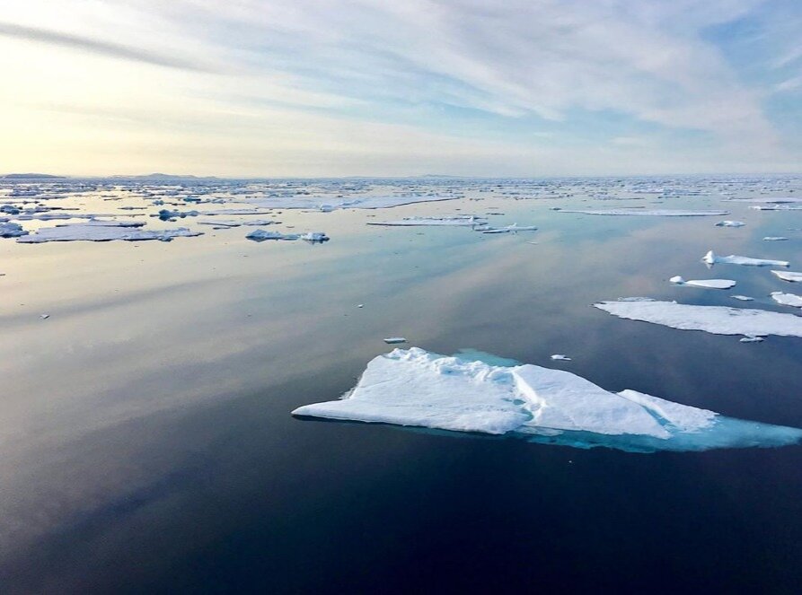 Источник: @koval_uliana