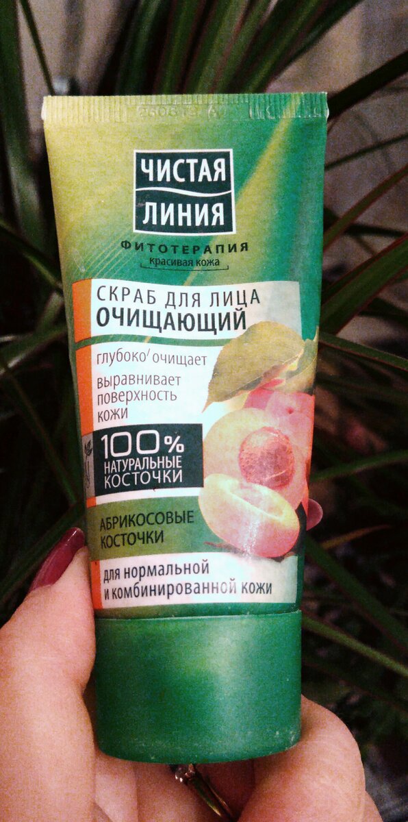 Фотография сделана лично 