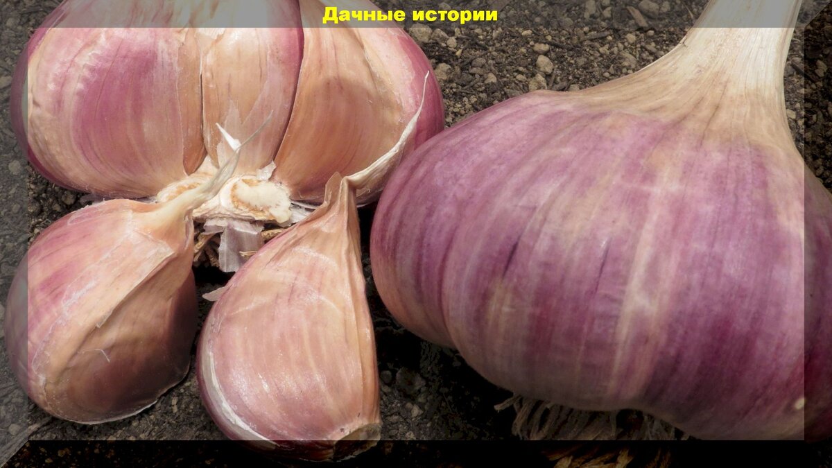 https://vk.com/photo-159774511_457242504
