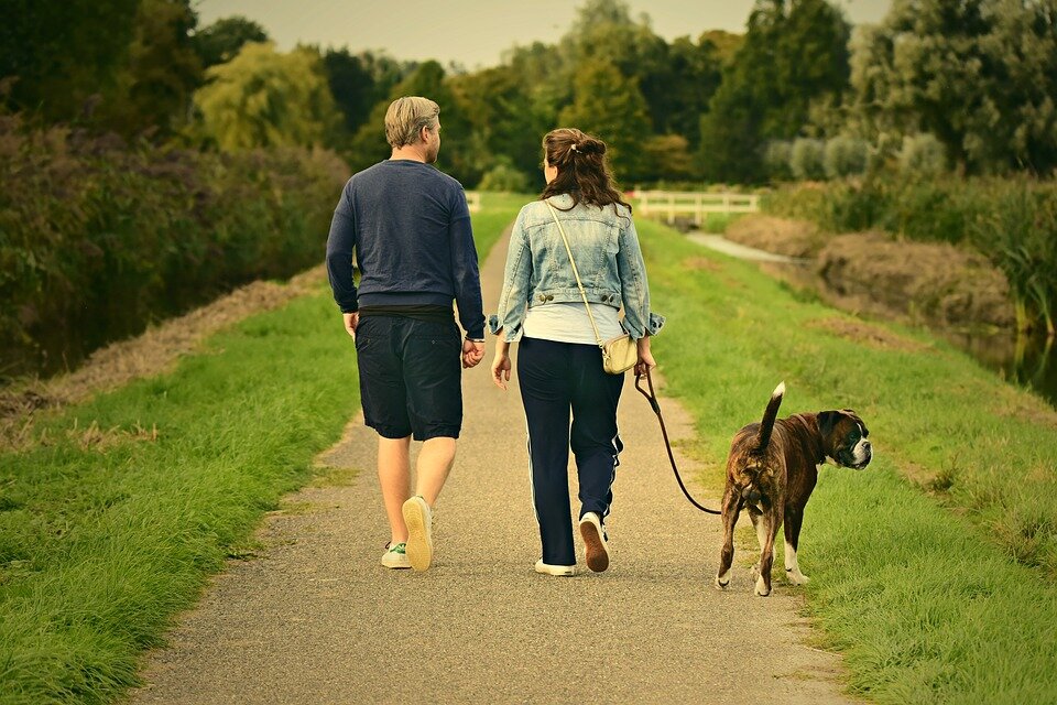 https://pixabay.com/photos/man-woman-couple-walking-two-3687274/