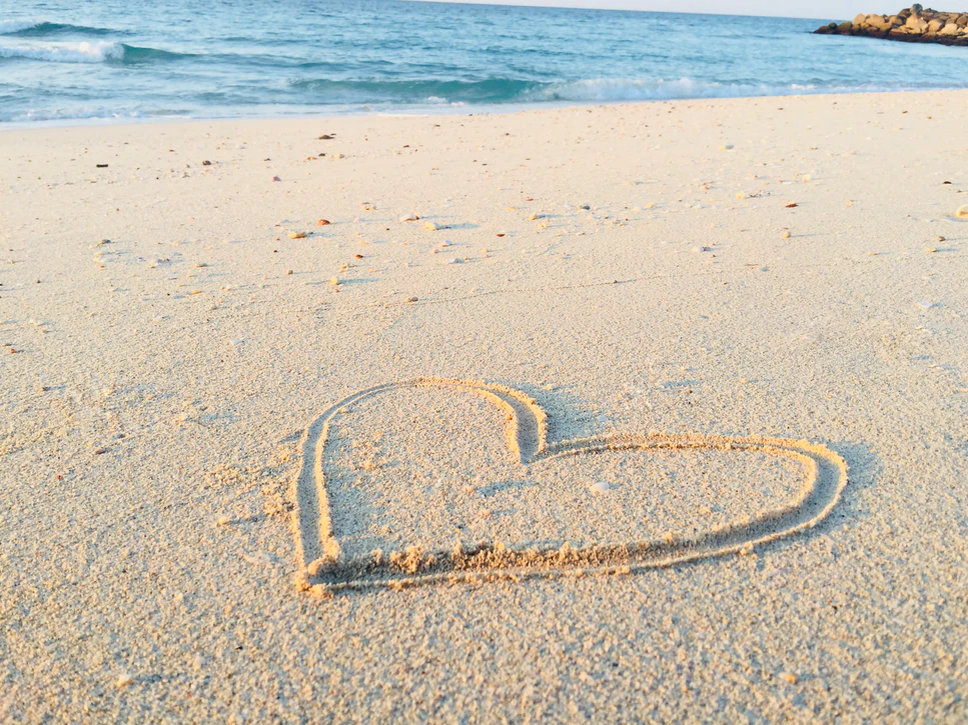 https://unsplash.com/photos/FHT0KEOwtyg