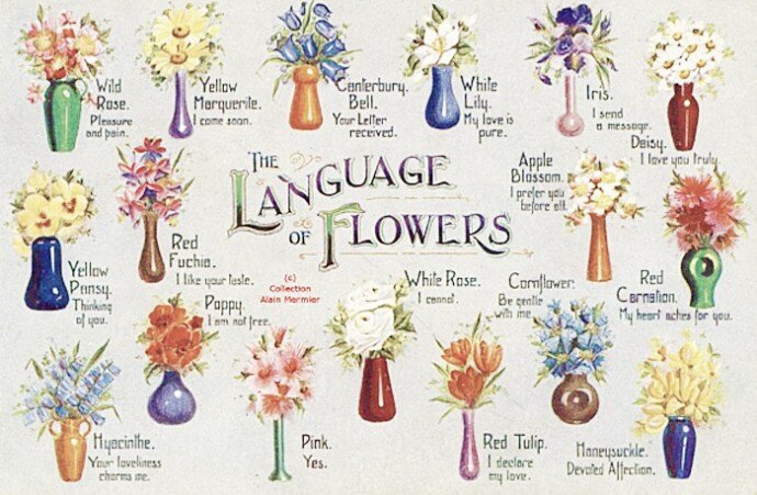 Фото взято с сайта http://blog.freddiesflowers.com