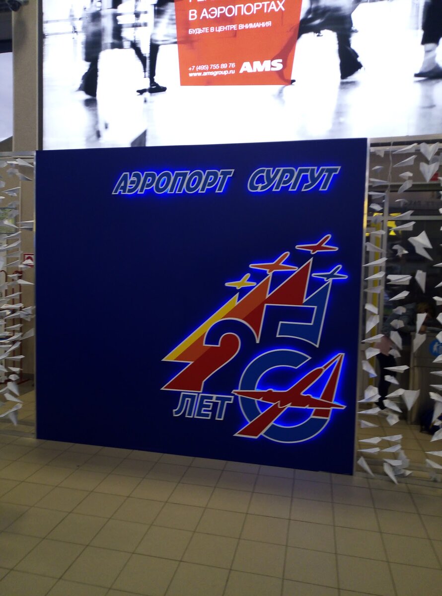 И так, Сургут…. Суровый северный город встретил мелким моросящим дождем, температурой 15 градусов выше ноля и хмурыми лицами…. Ладно, попробуем пережить, тем более до Сургута пришлось трижды смириться:с длинными ногами, турбулентностью и очередью в туалет особо одарённых . Попробуем и сейчас проявлять толлерантность и человеколюбие. 