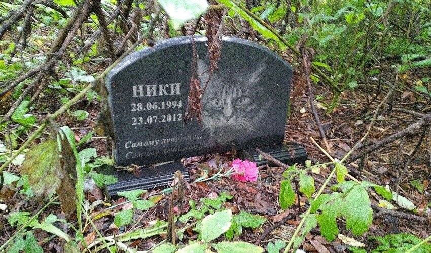 Кладбище южно сахалинск. Кладбище Христофоровка Южно-Сахалинск. Южно Сахалин кладбище домашних животных. Старое кладбище Южно-Сахалинск. Старое кладбище в Корсакове