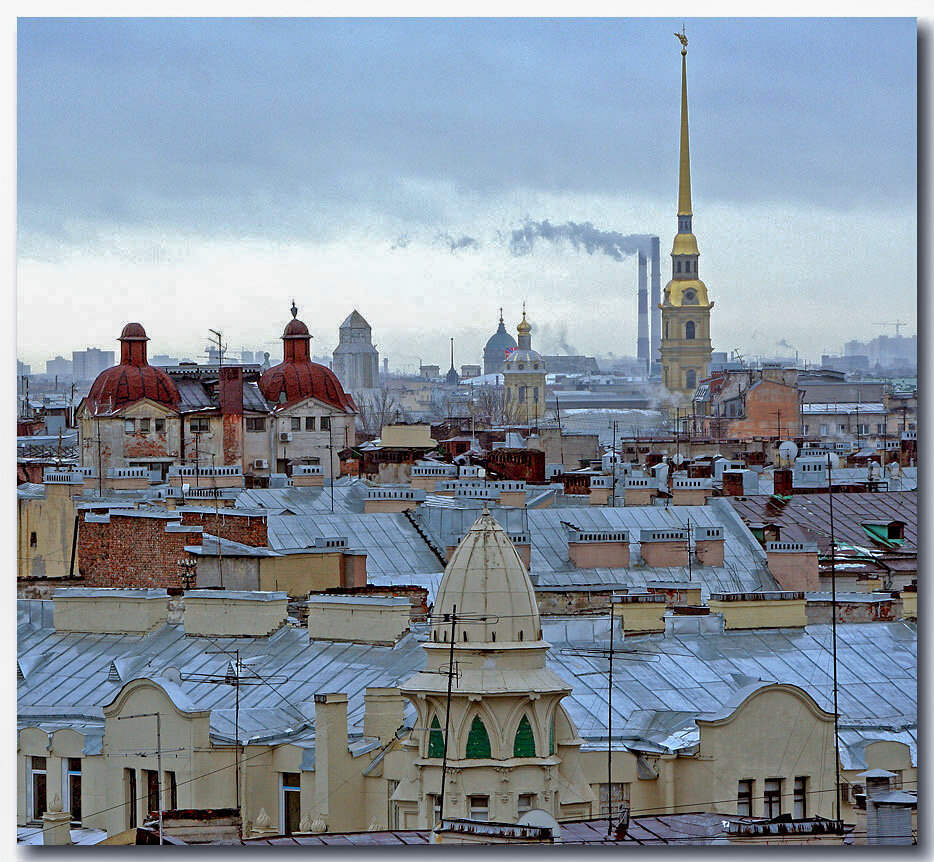 Вид на крыши Петроградской стороны. Все фото взяты из открытых источников.