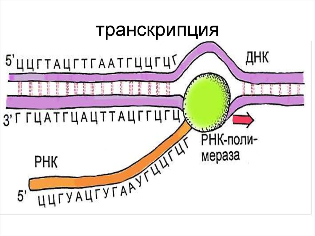 https://cf.ppt-online.org/files2/slide/j/j8Z5hbngevAQmx7DPKzUL0upoHIXcEiGNrF1T94kR/slide-3.jpg