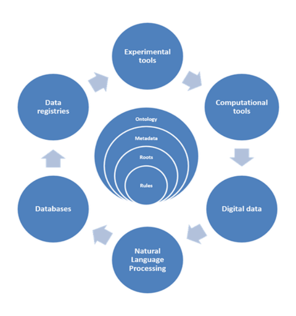 Схема индексирования и поиска информации при обработке. Источник: https://www.nist.gov/programs-projects/novel-root-and-rule-based-natural-language-processing-nlp-approach-information 
