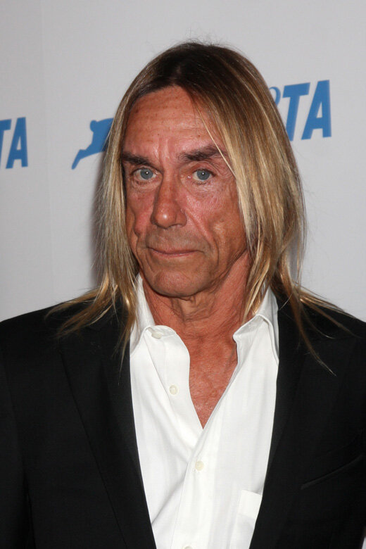 Игги Поп (Iggy Pop) / © Helga Esteb / Shutterstock.com