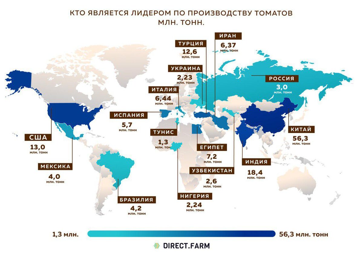 Лидеры по производству томатов в мире