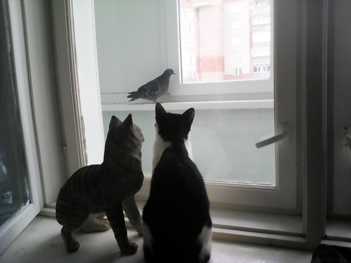 Трое. Один из них не живой. Кто? 