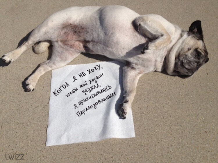 Фото: Интернет