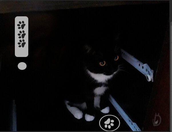 Подписывайся на Канал! Тут всегда только свежая и актуальная информация!