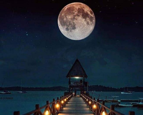 Картинка из интернет 