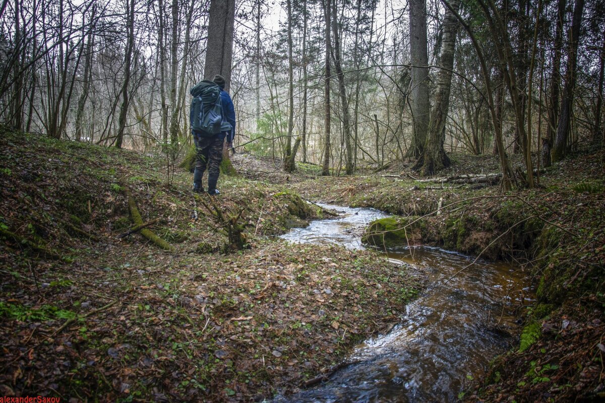 Фото автора канала. 