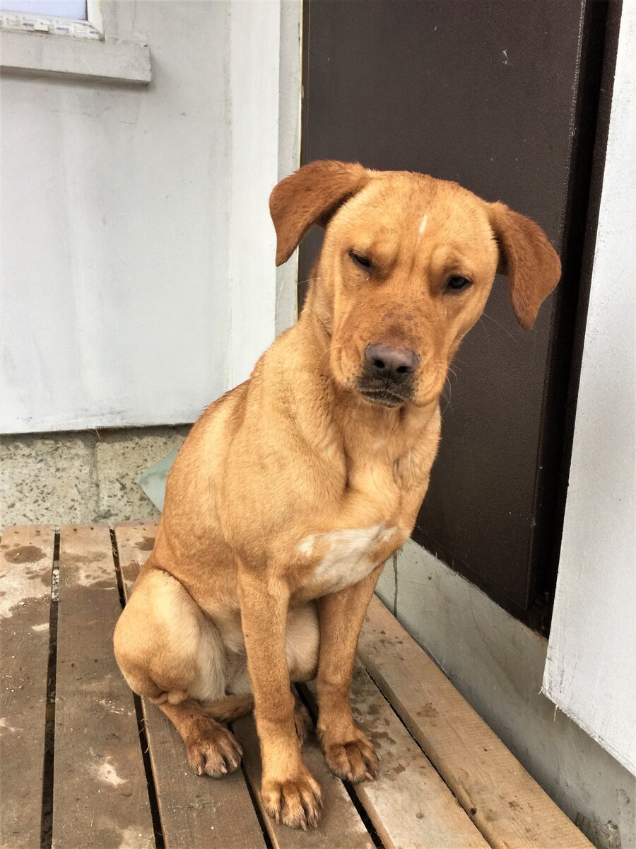 Фото из личного архива.