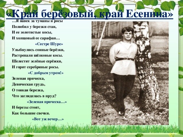 Яндекс Картинки