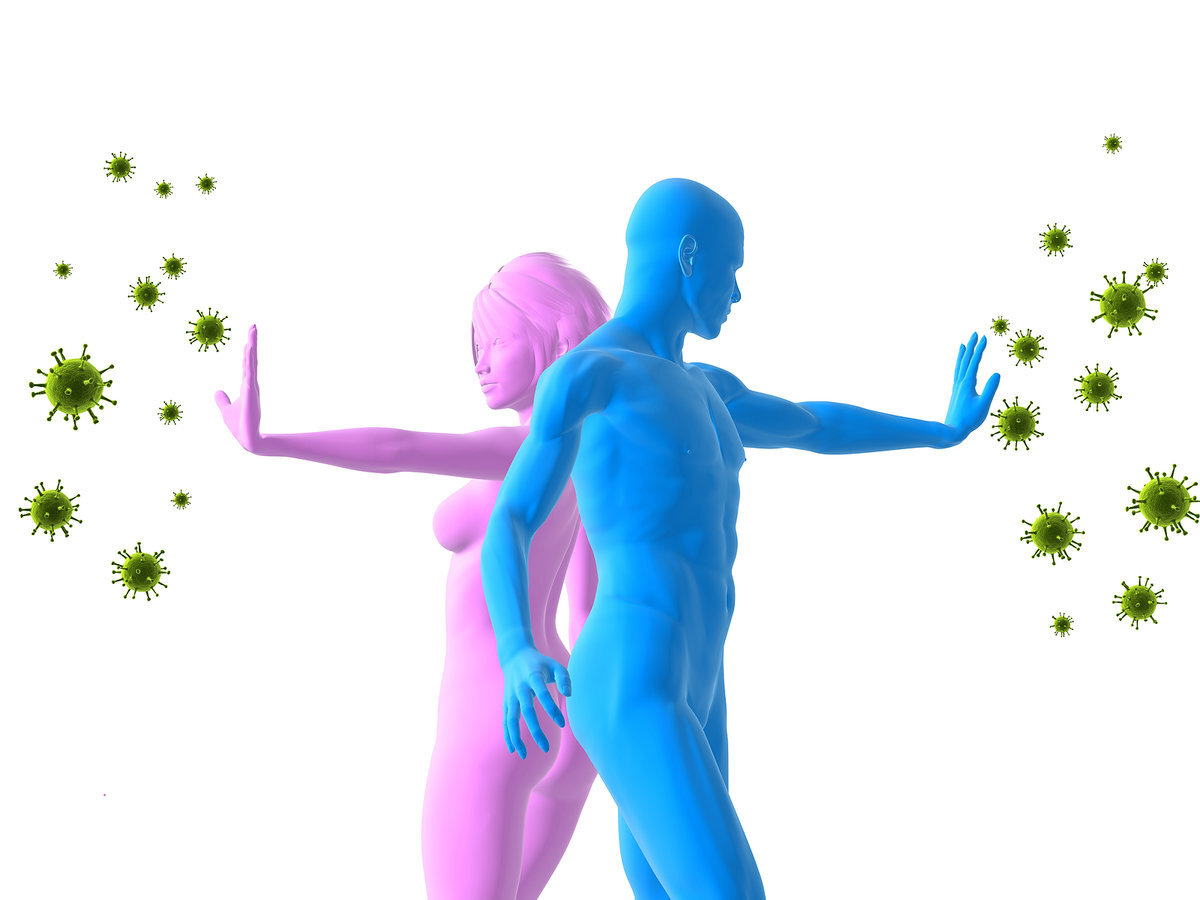 Картинки Яндекс