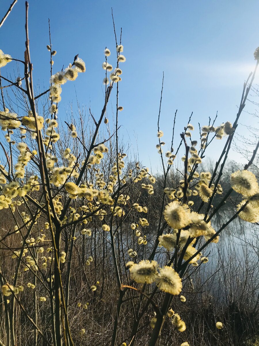 Традиционно - свежее фото с пробежки.