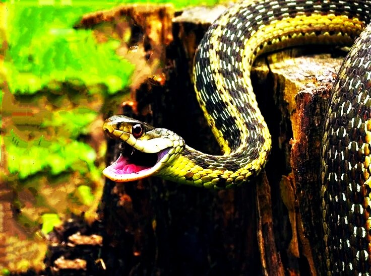 Стихиальные думки