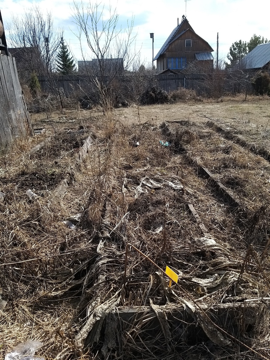 Фото сделано  11.04.2020