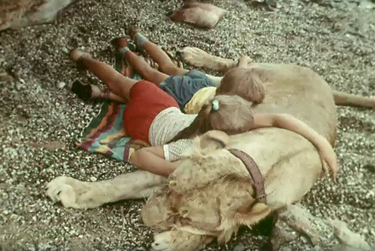 Кадр из телефильма "У меня есть лев" (1975)