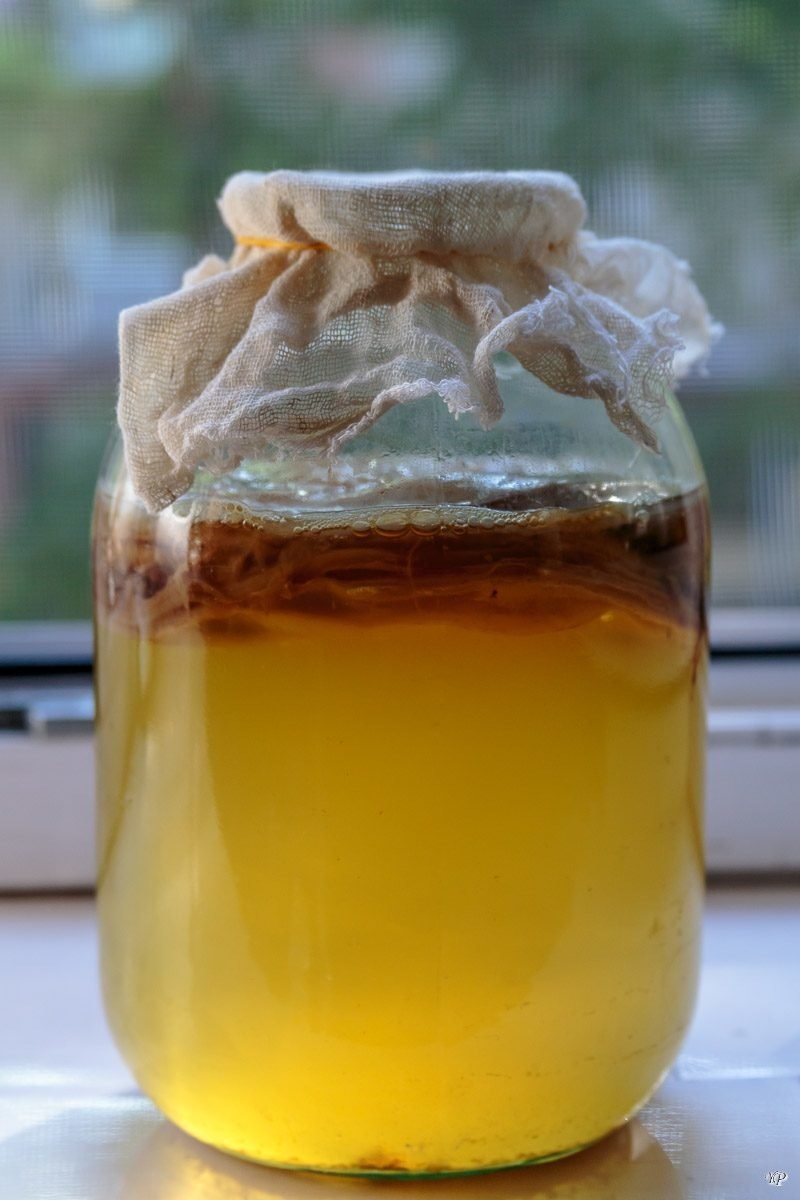 Чайный гриб не обладает лекарственными свойствами.