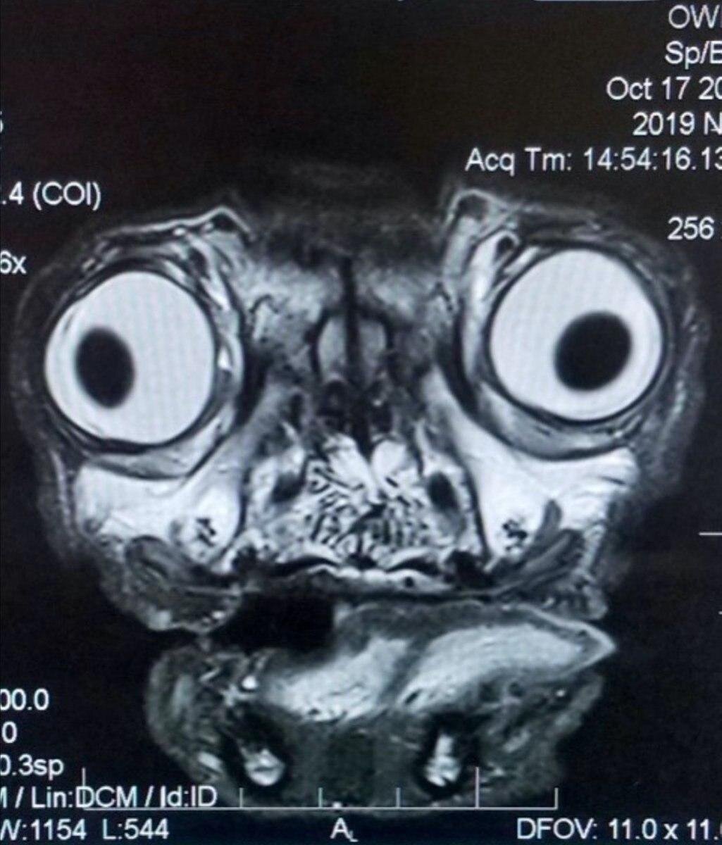 Фото взято из интернета