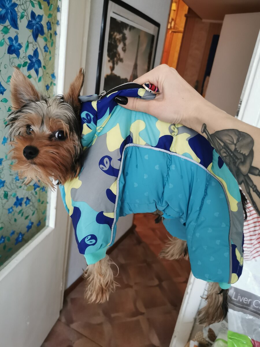 Когда чехол большеват... 