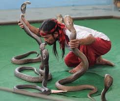 фото из гугл