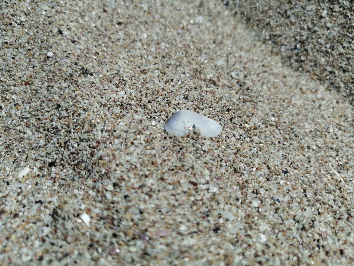 Очень мелкие ракушки и камушки на берегу.