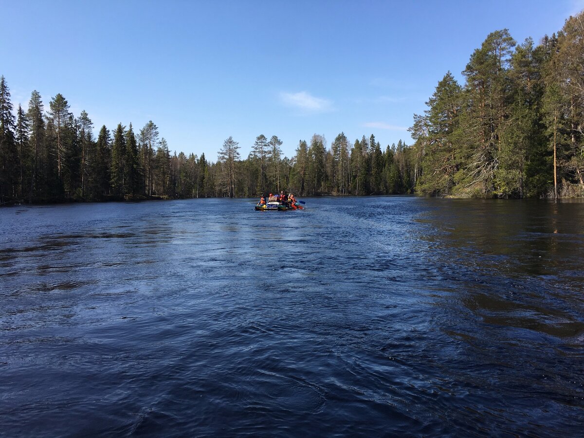 Река Шуя, май 2019