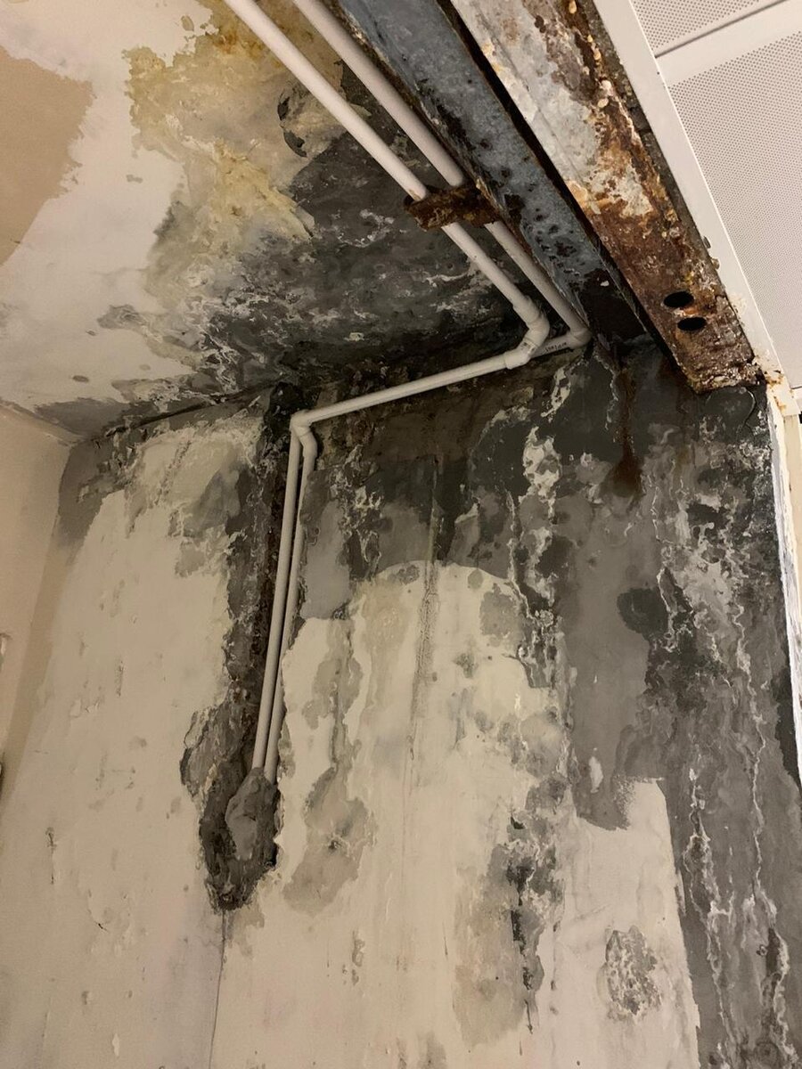 Большой театр