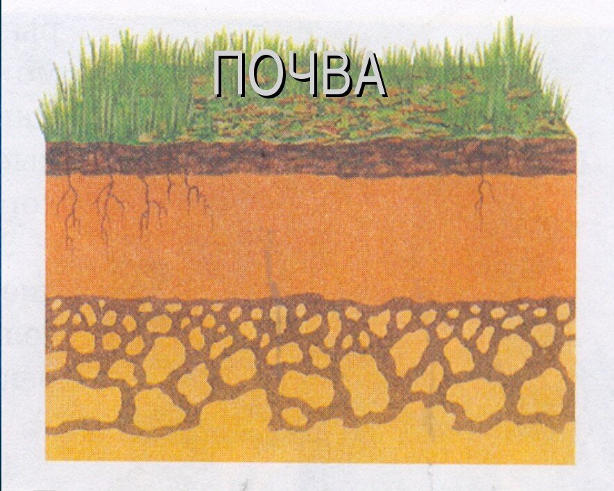 Нарисовать рисунок состав почвы