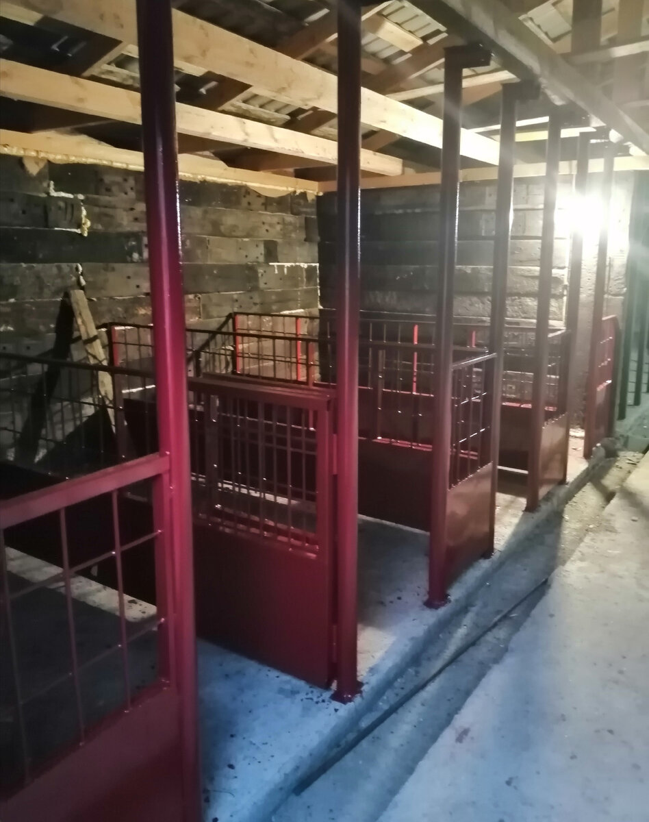 Фото автора. Клетки для поросят