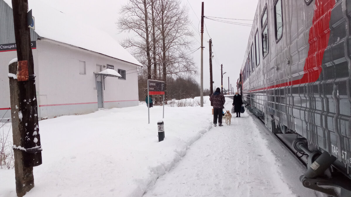 ТВЕРСКИЕ СНЫ. ЧАСТЬ 1. ПОЕЗДКА МОСКВА - БОЛОГОЕ - СОНКОВО - ПИЩАЛКИНО -  РЫБИНСК - ЯРОСЛАВЛЬ - МОСКВА. | Московский Компас | Дзен