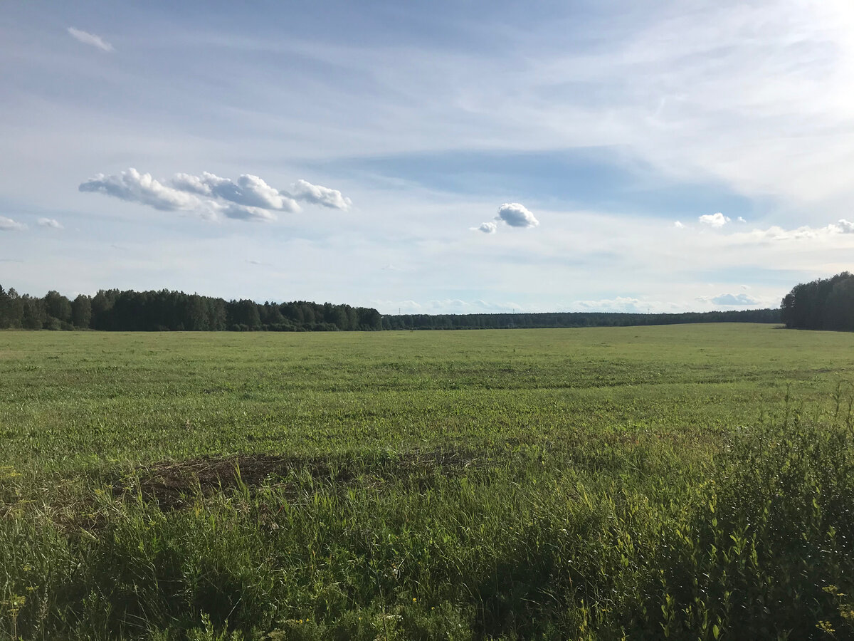 Скоро такие виды совершенно законно могут открываться из окна вашего дома)